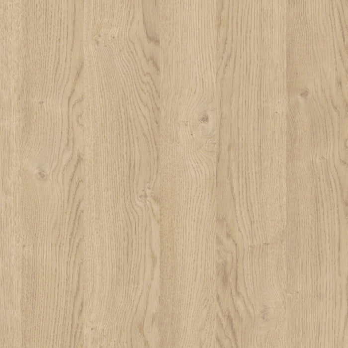 blat roboczy / Dąb Biszkoptowy