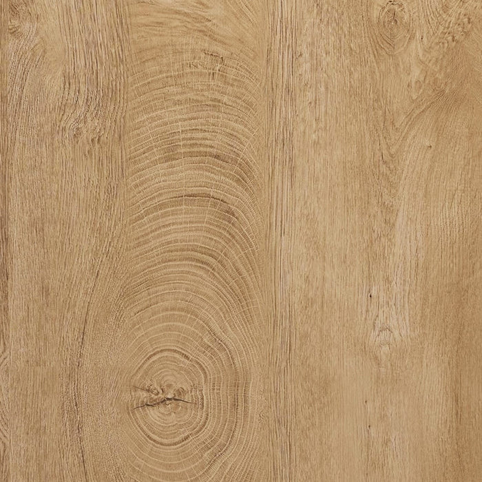 frezove / Dąb Tajga