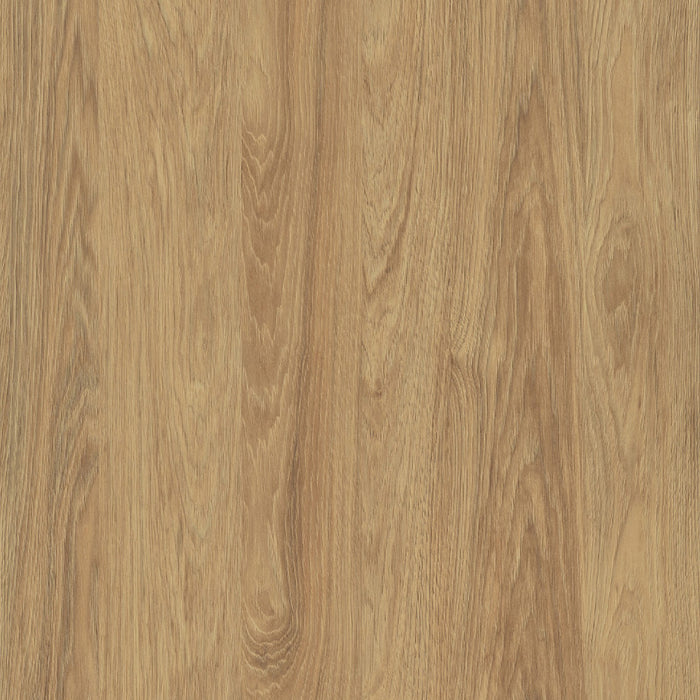 blat roboczy / Hikora Naturalna